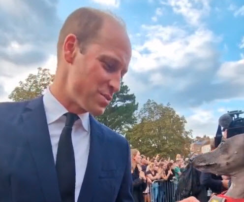 El príncipe William tiene un bonito detalle con dueña de un perrito.