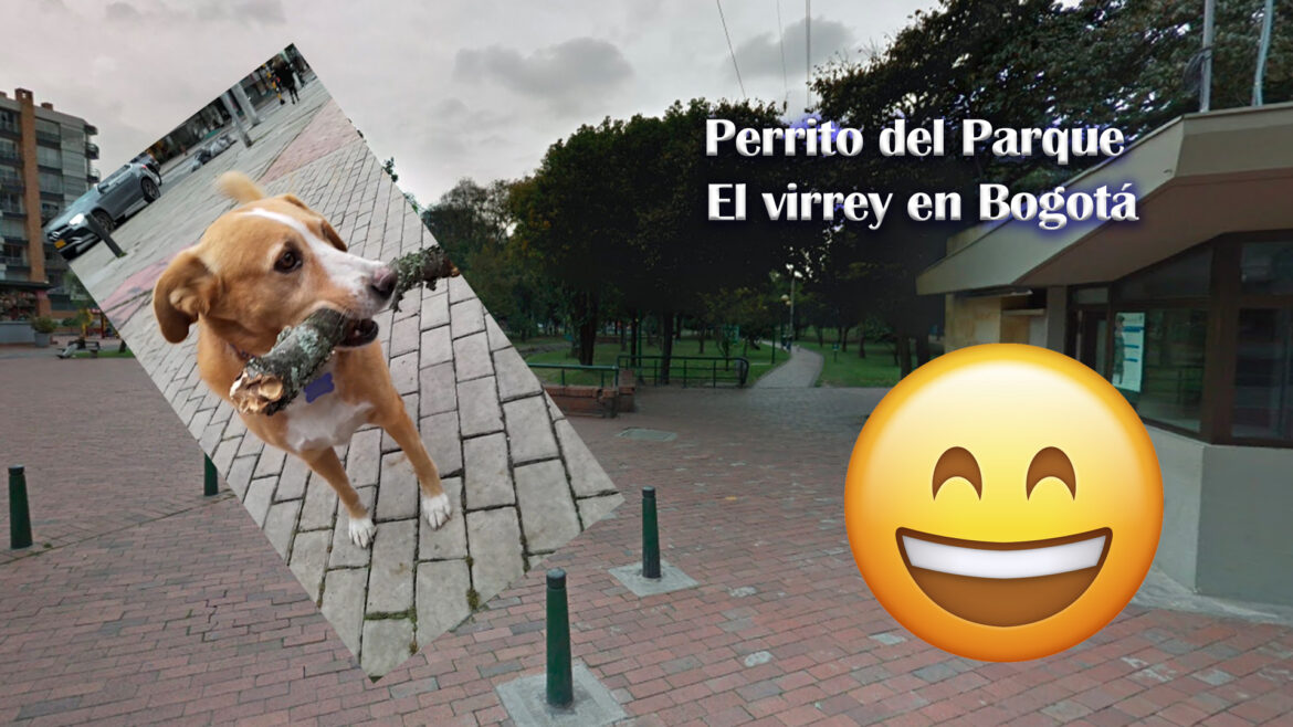 Descubre las travesuras encantadoras del perrito del Parque El Virrey en Bogotá.