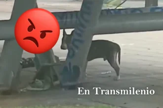 Abandono imperdonable en la estación de Quirigua.