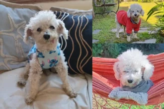 Marcelito, pura ternura con lengüita.